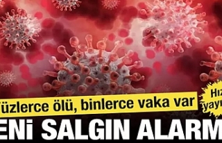 Telaşlandıran yeni salgın! Hızla yayılıyor