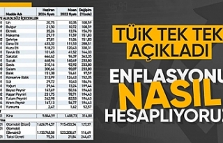 TÜİK Başkanı Çetinkaya enflasyonun nasıl hesaplandığını...