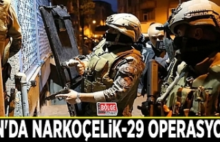 Van'da Narkoçelik-29 operasyonu