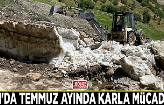 Van'da Temmuz ayında karla mücadele