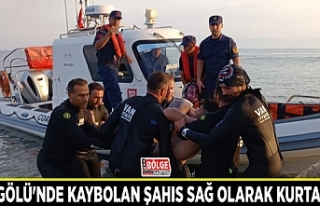 Van Gölü'nde kaybolan şahıs sağ olarak kurtarıldı