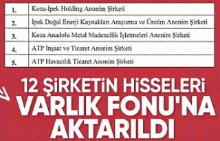 12 şirketin hisseleri Türkiye Varlık Fonu'na...