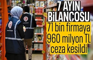 7 ayda fahiş fiyat ve stokçuluğa 960 milyon TL...