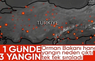 Bakan Yumaklı, yangınların çıkış nedenini açıkladı