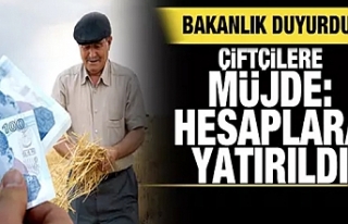 Çiftçilere müjde, hesaplara yatırıldı