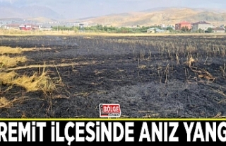 Edremit ilçesinde anız yangını