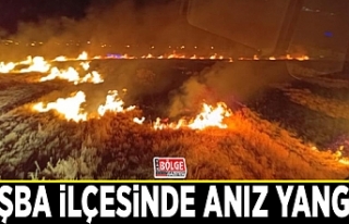 Tuşba ilçesinde anız yangını