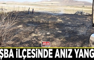 Tuşba ilçesinde anız yangını