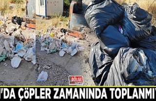 Van'da çöpler zamanında toplanmıyor