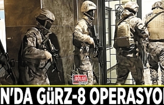 Van'da Gürz-8 operasyonu