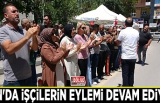 Van'da işçilerin eylemi devam ediyor