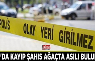 Van'da kayıp şahıs ağaçta asılı bulundu