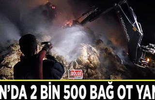 Van’da 2 bin 500 bağ ot yandı