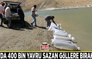 Van’da 400 bin yavru sazan göllere bırakıldı