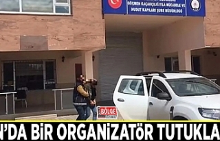 Van’da bir organizatör tutuklandı