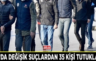 Van’da değişik suçlardan 35 kişi tutuklandı