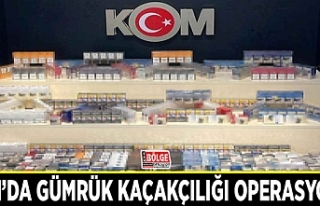 Van’da gümrük kaçakçılığı operasyonu