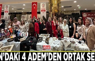 Van’daki 4 ADEM’den ortak sergi