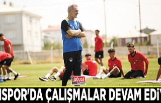 Vanspor'da çalışmalar devam ediyor