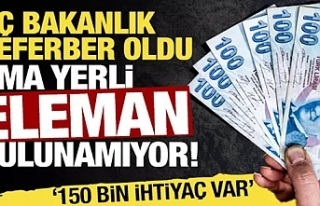 150 bin çoban aranıyor: 3 bakanlık seferber oldu