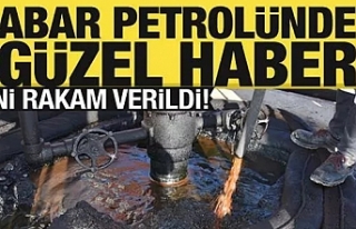 Bayraktar: Gabar petrolünde üretim miktarı belli...