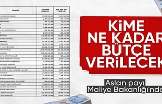 Bütçeden en büyük pay Maliye'nin