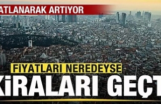 Katlanarak artıyor! Fiyatları kiraları geçti!