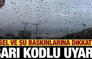 Meteoroloji'den sarı kodlu uyarı! Sel uyarısı