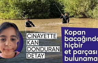 Narin cinayetinde kopan bacağa ilişkin yeni kan...