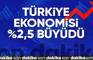 Türkiye ekonomisi 2024'ün ikinci çeyreğinde...