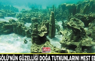 Van Gölü'nün güzelliği doğa tutkunlarını...