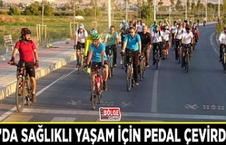 Van’da sağlıklı yaşam için pedal çevirdiler