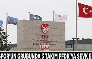 Vanspor'un grubunda 3 takım PFDK'ya sevk...