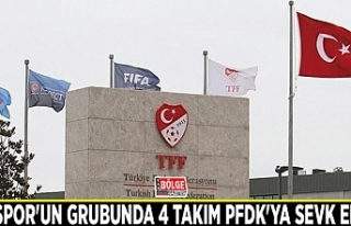 Vanspor'un grubunda 4 takım PFDK'ya sevk...