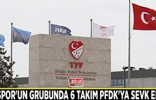 Vanspor'un grubunda 6 takım PFDK'ya sevk...