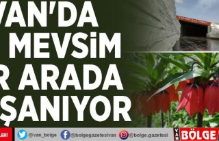 Van'da iki mevsim bir arada yaşanıyor