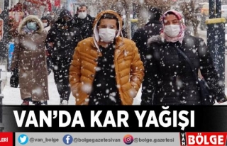 Van'da kar yağışı