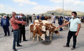 Van'daki hayvan pazarı hizmet vermeye başladı