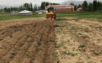 Başkale'de 1 ton patates ekildi