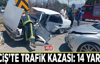 Erciş’te trafik kazası: 14 yaralı