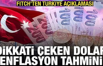 Fitch'ten Türkiye açıklaması