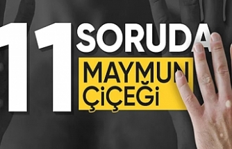 İşte 11 soruda maymun çiçeğiyle ilgili merak edilenler...