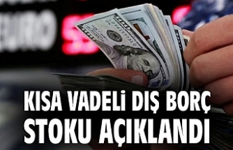 Kısa vadeli dış borç stoku, Temmuz ayında 176,1 milyar dolar oldu