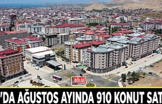 Van'da Ağustos ayında 910 konut satıldı